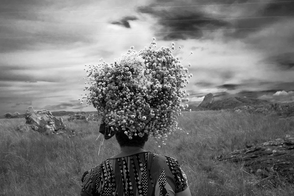 Festival Internacional de Fotografia de Paraty homenageia Sebastião Salgado